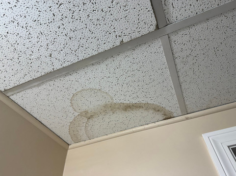 Mt Royal Motel主图