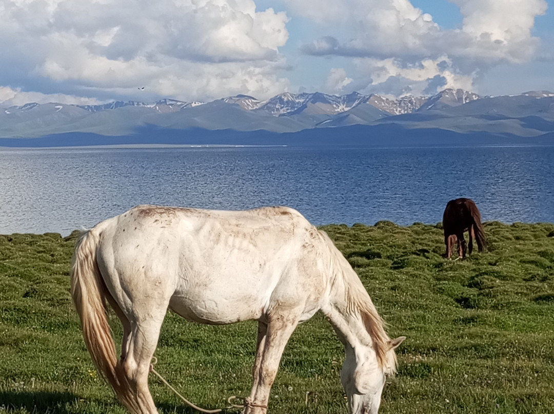 Tunduk Travel-比斯凯克必去景点
