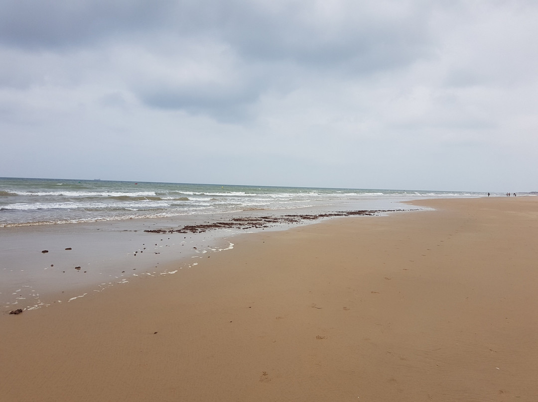 Playa De Costa Ballena景点图片