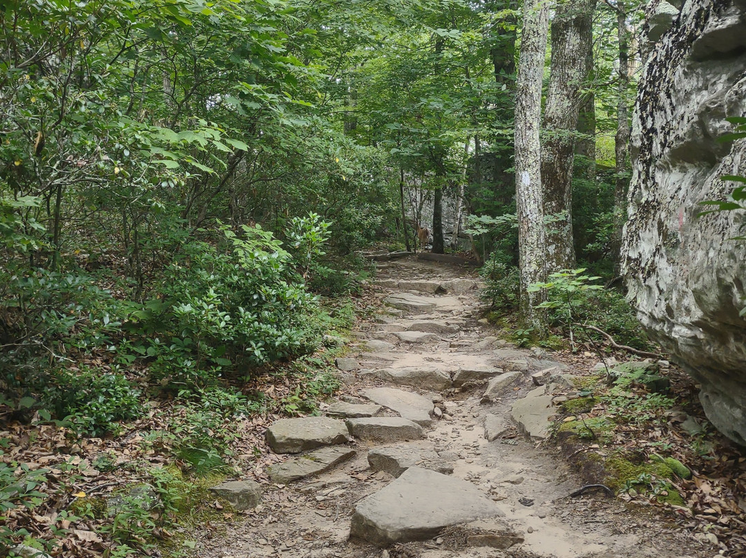McAfee Knob-Catawba必去景点
