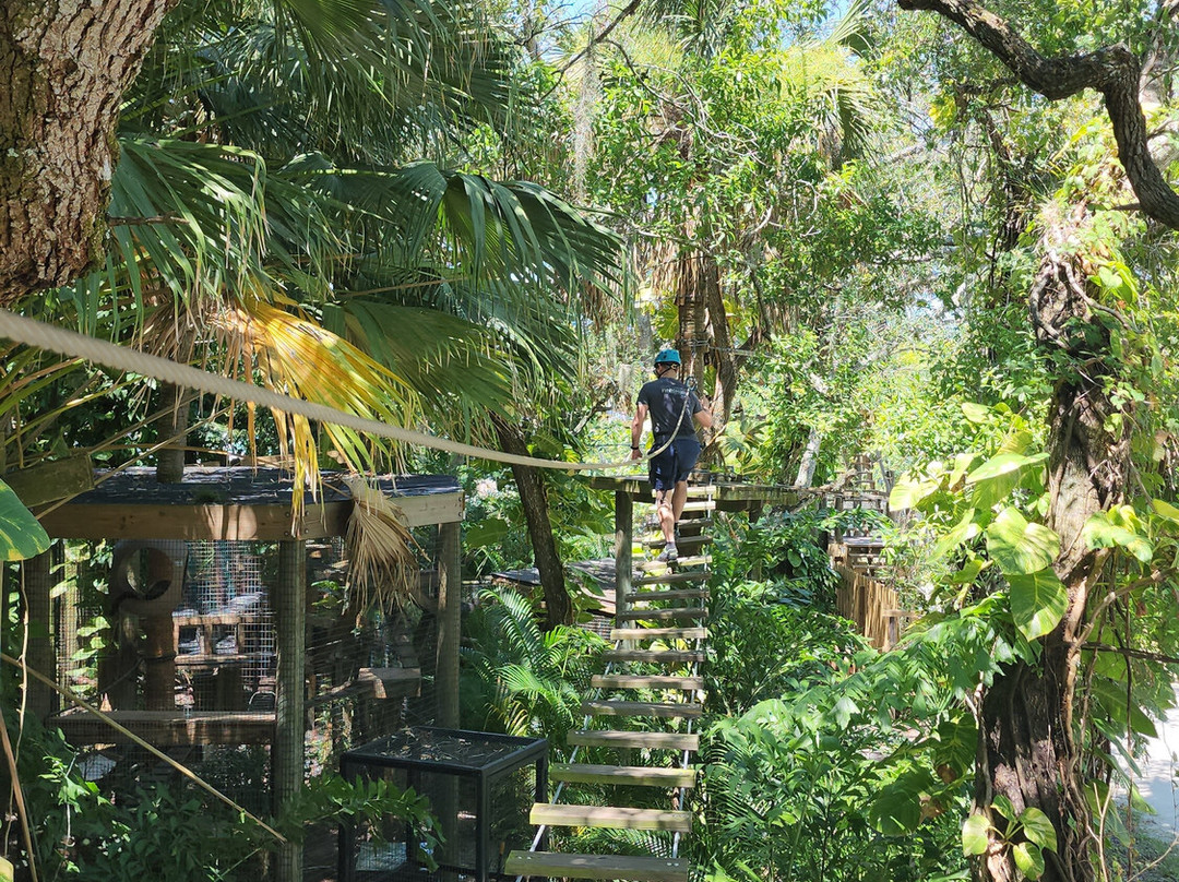 Treetop Trek景点图片