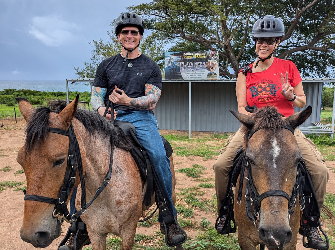 Sailh's Paradise Horse Riding-Vieques必去景点