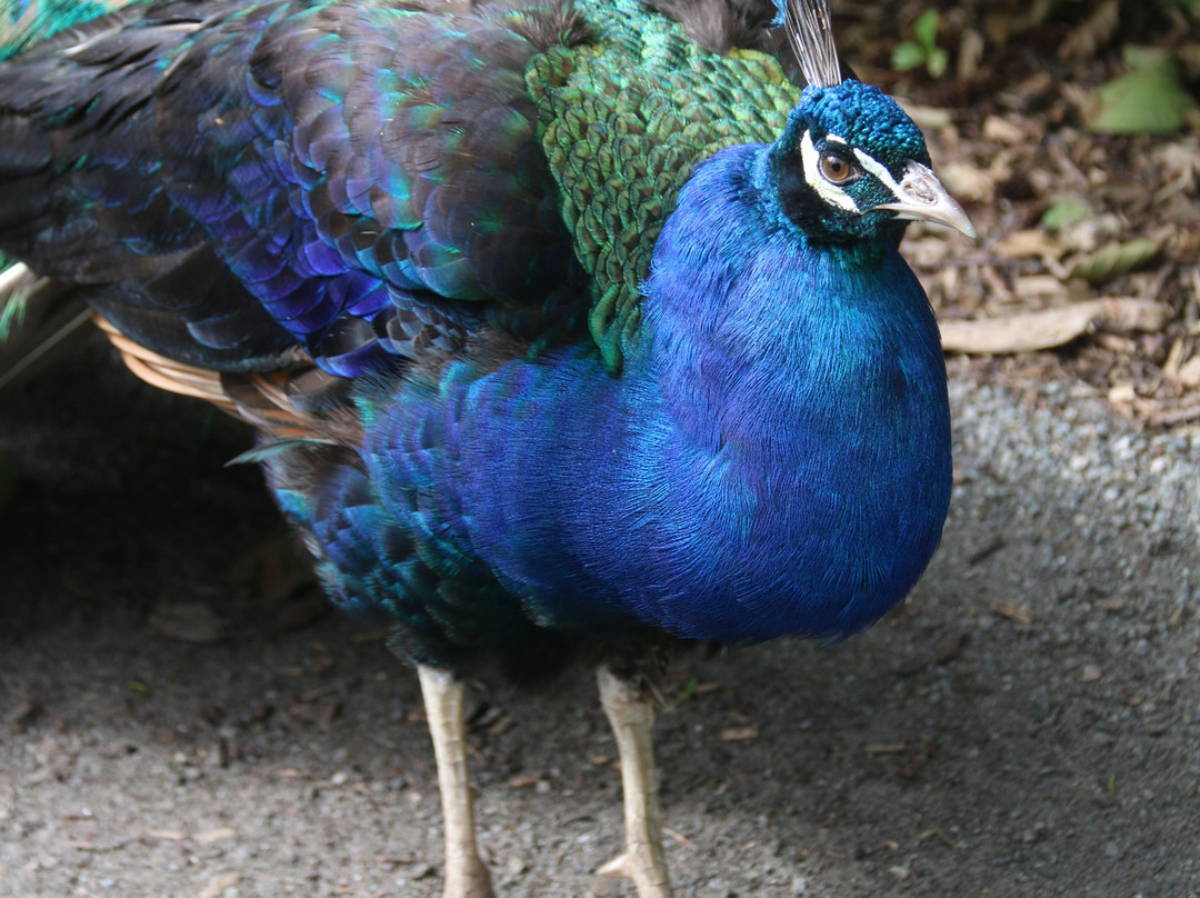 Birgits Tiergarten-Hage必去景点