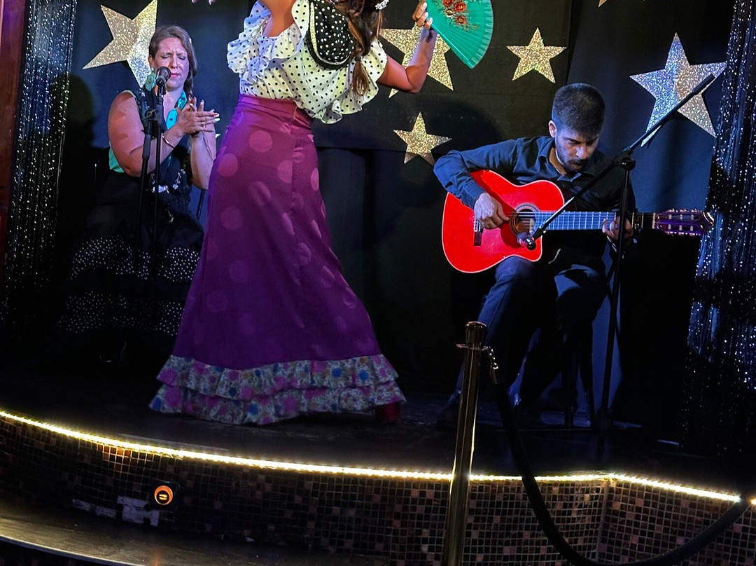 Flamenco Benalmadena景点图片