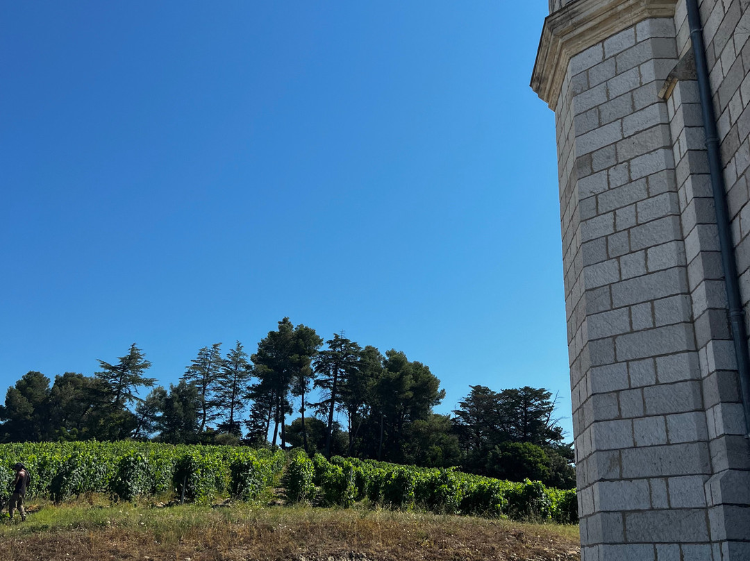 Chateau de Bellet景点图片