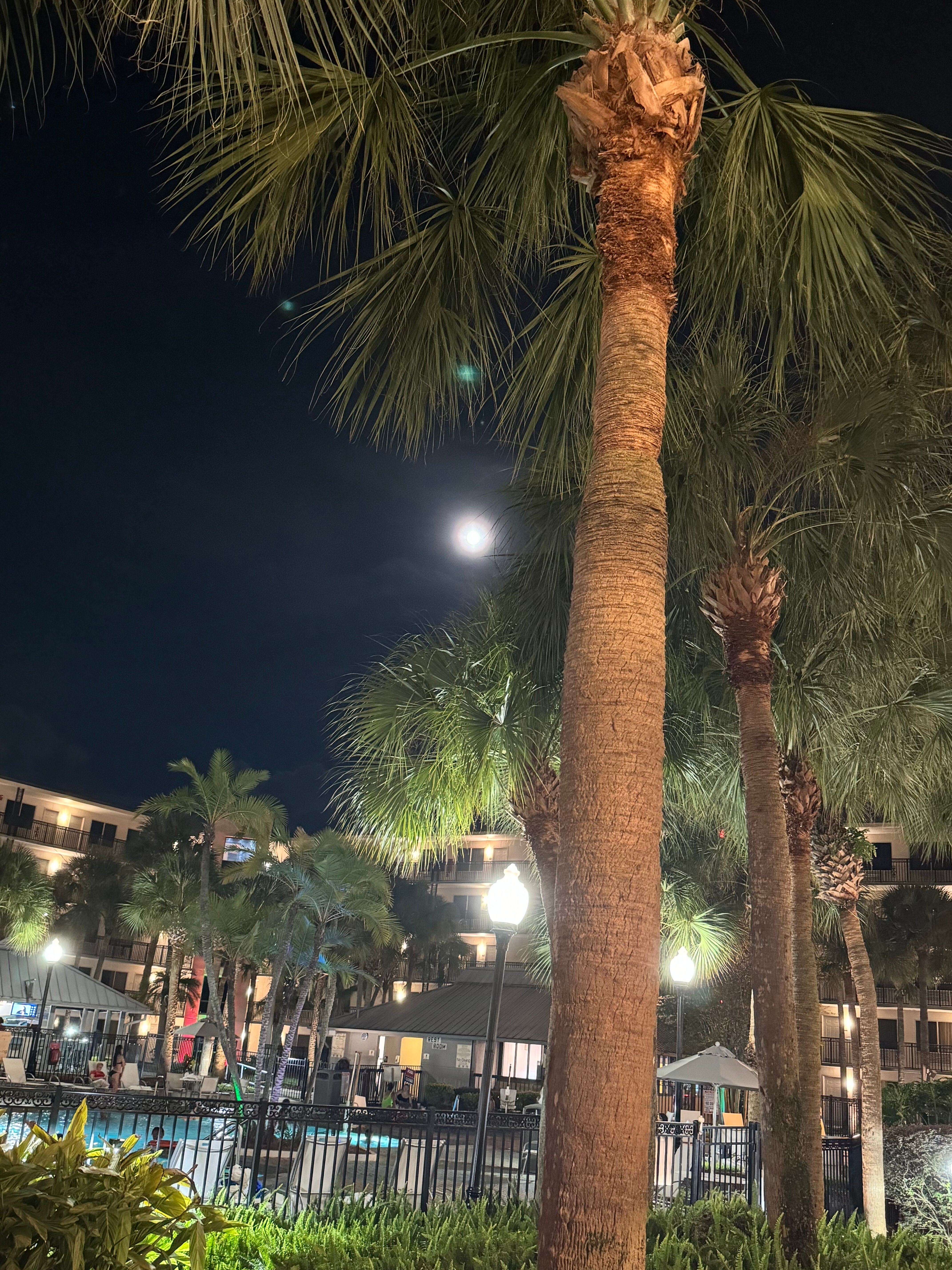 Staybridge Suites Orlando Royale Parc Suites-浴室
