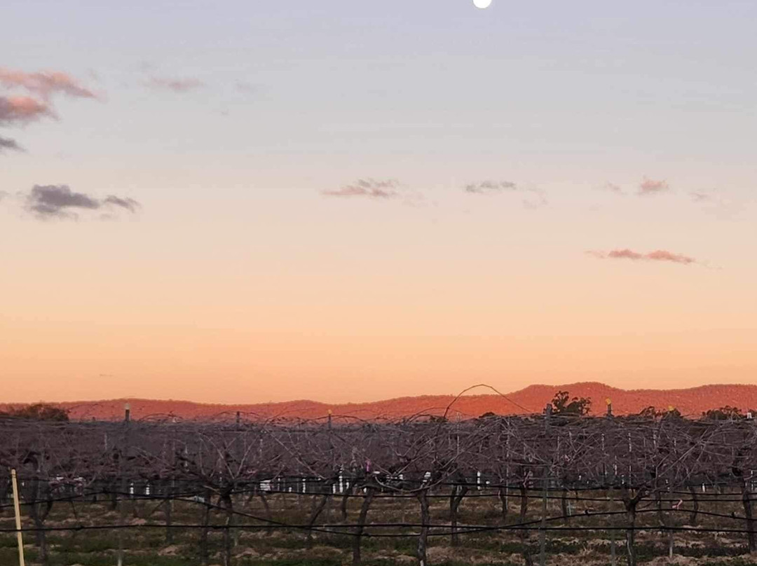 Mountview Winery景点图片