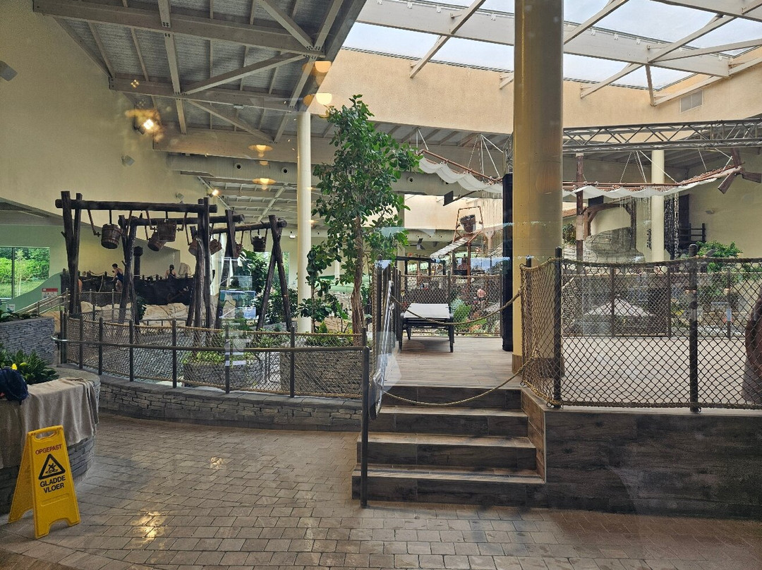 Bellewaerde Aquapark景点图片