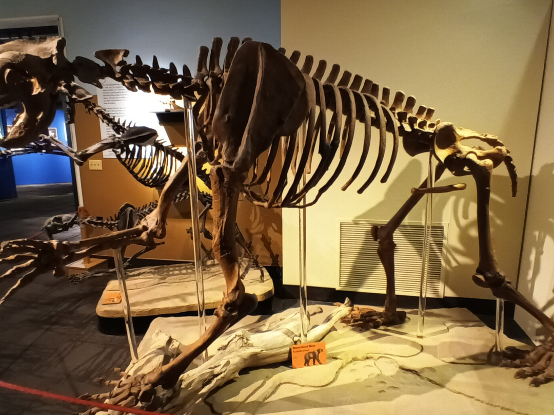 Idaho Museum of Natural History-波卡特洛必去景点