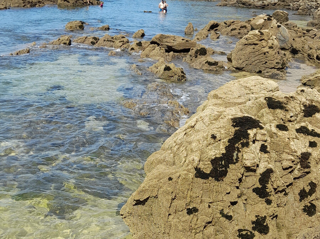 Plage de la Pissotte景点图片
