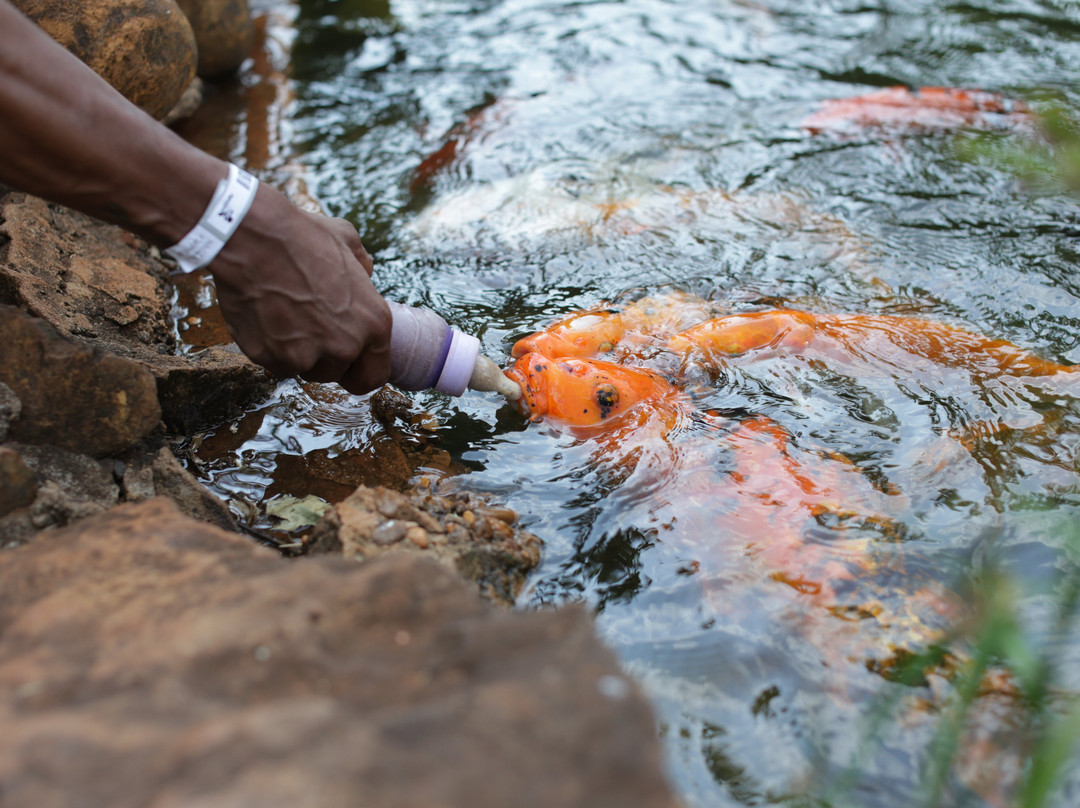 Aguativa Golf Resort主图