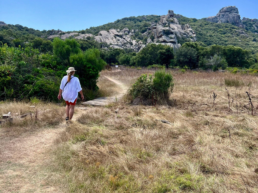 Megaliths of Cauria景点图片
