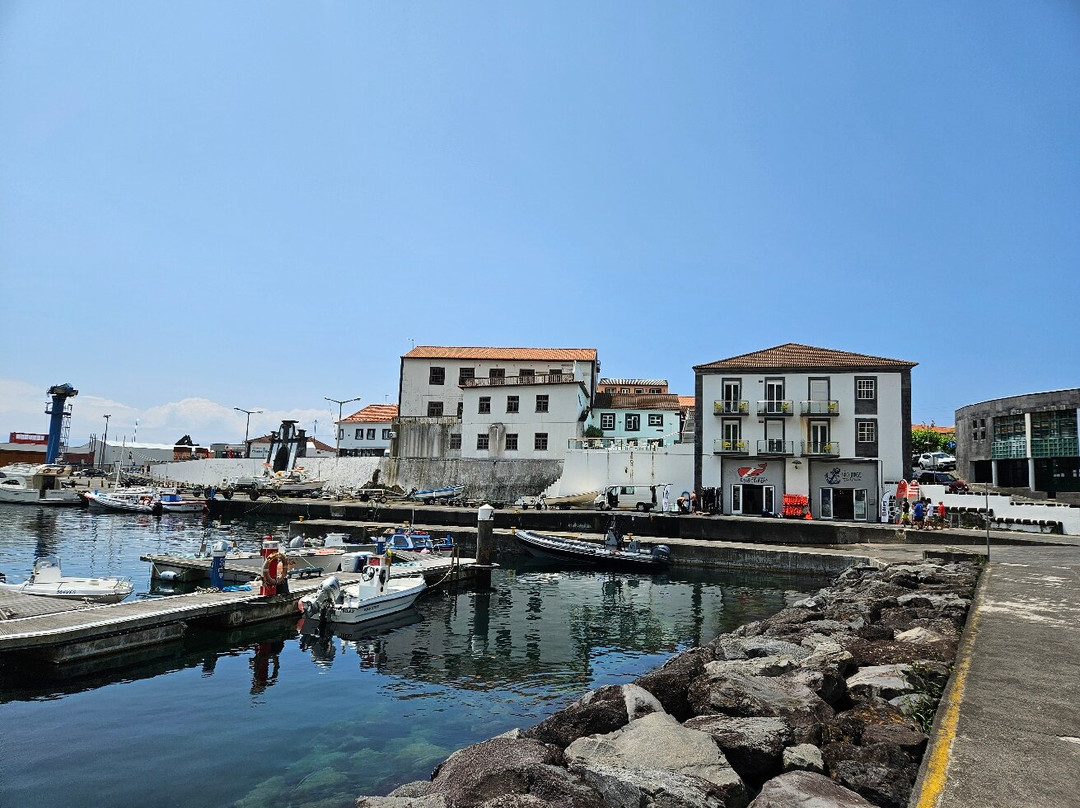 Sao Jorge Dive and Sail Center-Sao Jorge必去景点