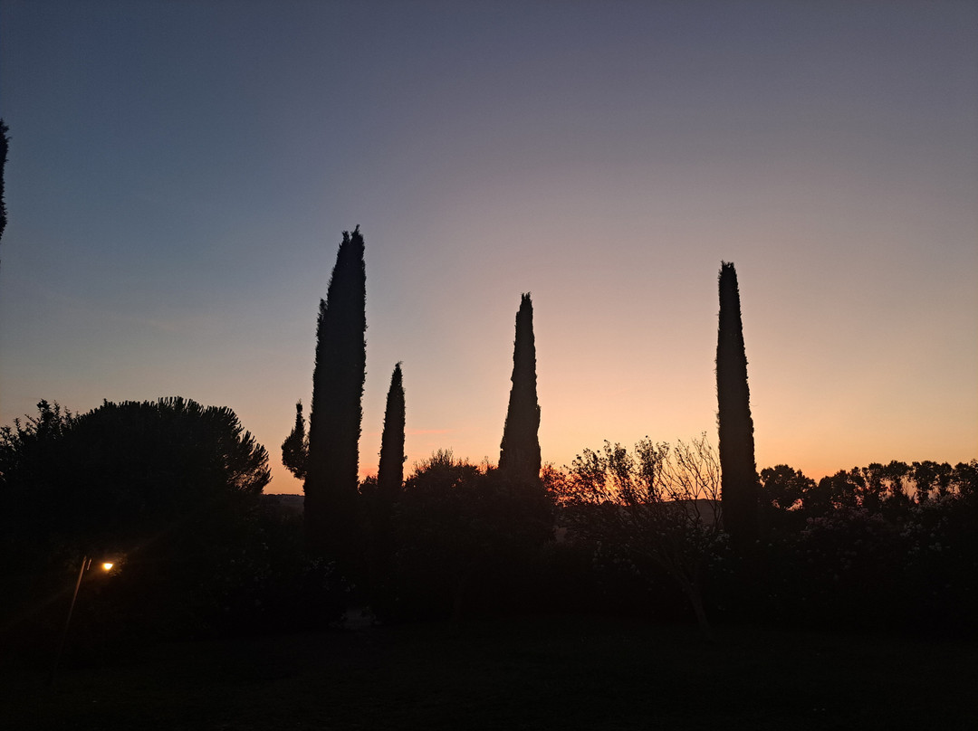 Azienda Agricola Celestina Fe'景点图片