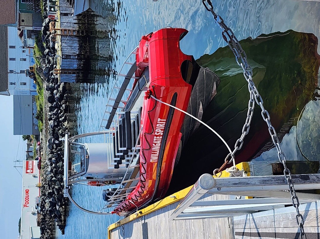 Harbour Lights Inn主图