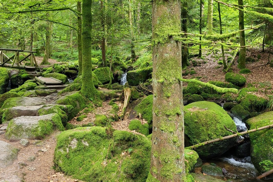 Gertelbach-Wasserfälle-Buehlertal必去景点