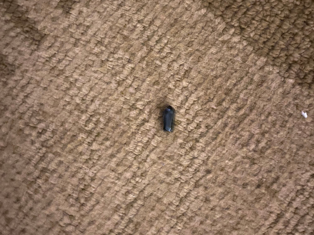 Comfort Suites near Robins Air Force Base主图