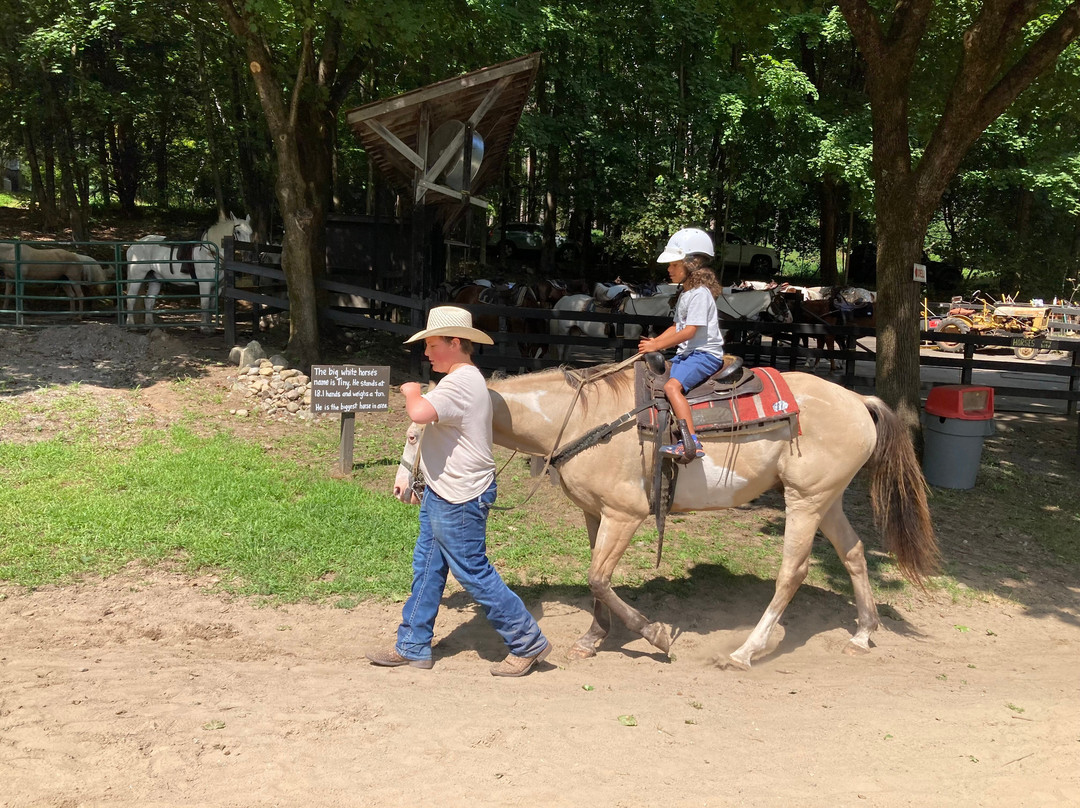 Saddle Up Stables景点图片