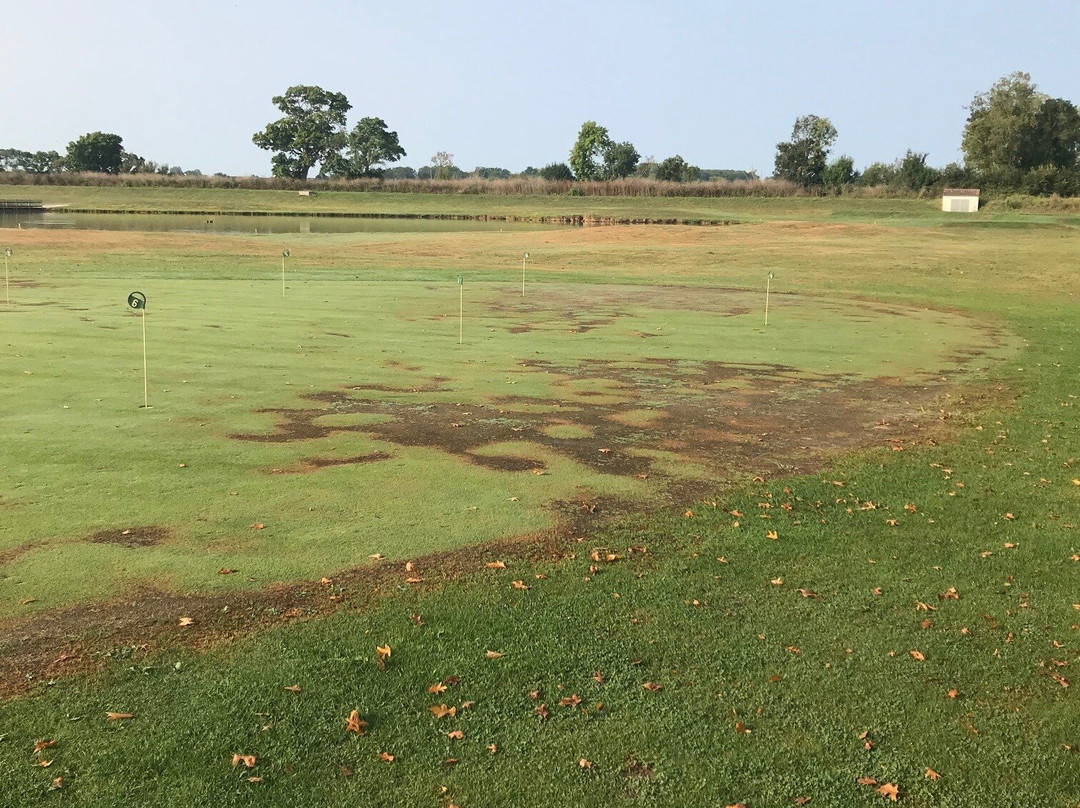 Golf de Margaux景点图片