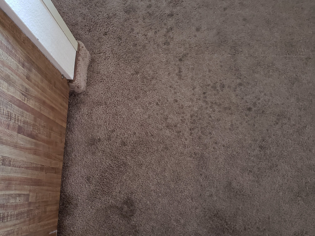 Quality Inn & Suites Goldendale主图