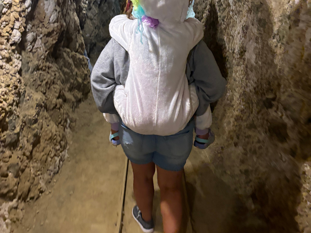 Mollie Kathleen Gold Mine-克里普尔溪必去景点