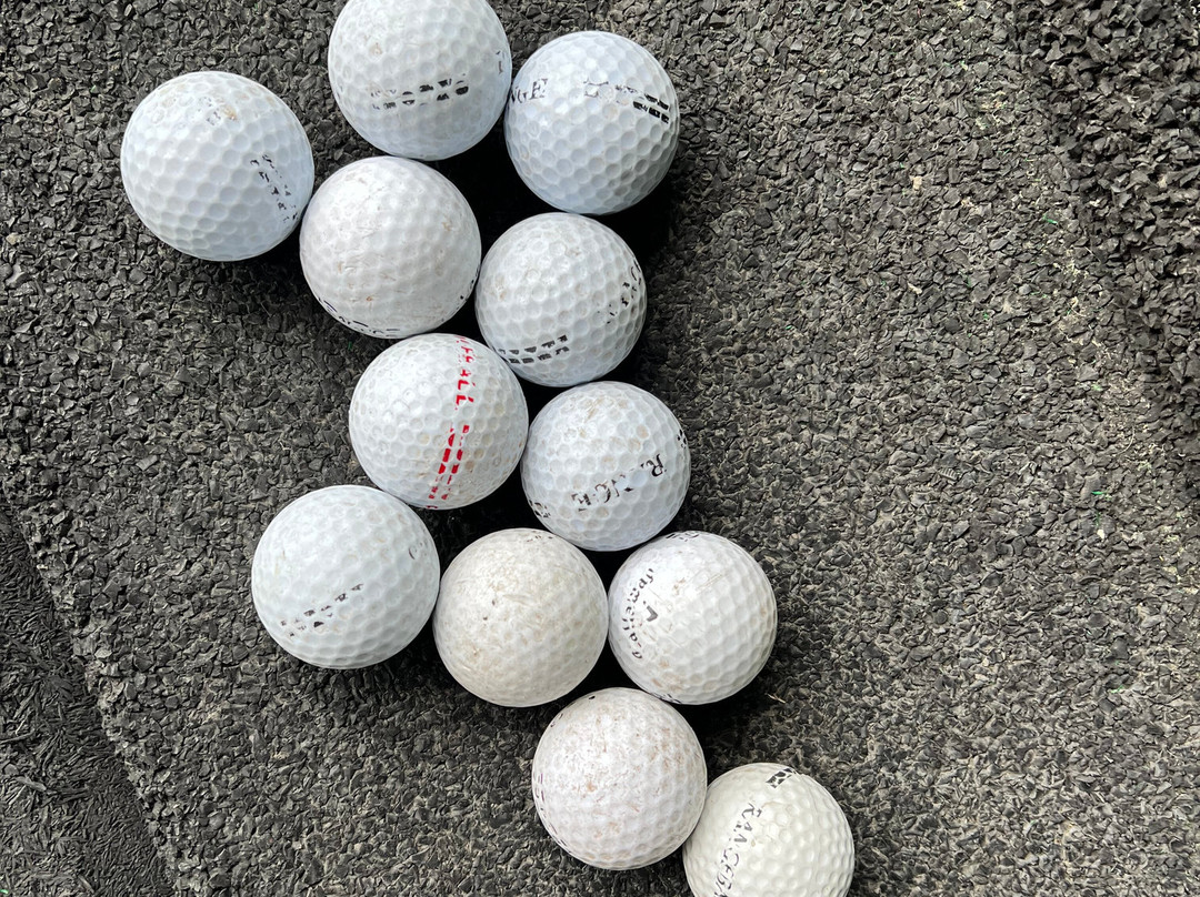 Pine Ridge Golf Club景点图片