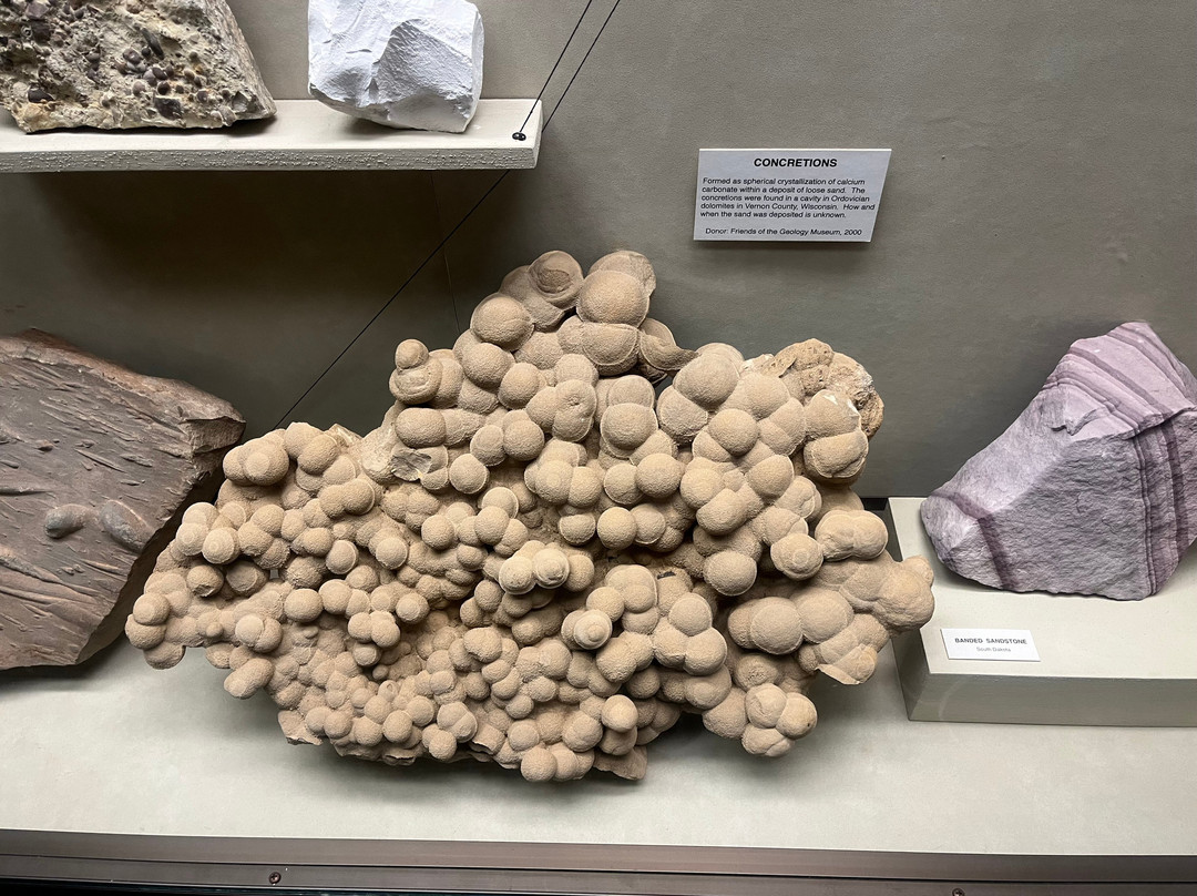 University of Wisconsin Geology Museum-麦迪逊必去景点