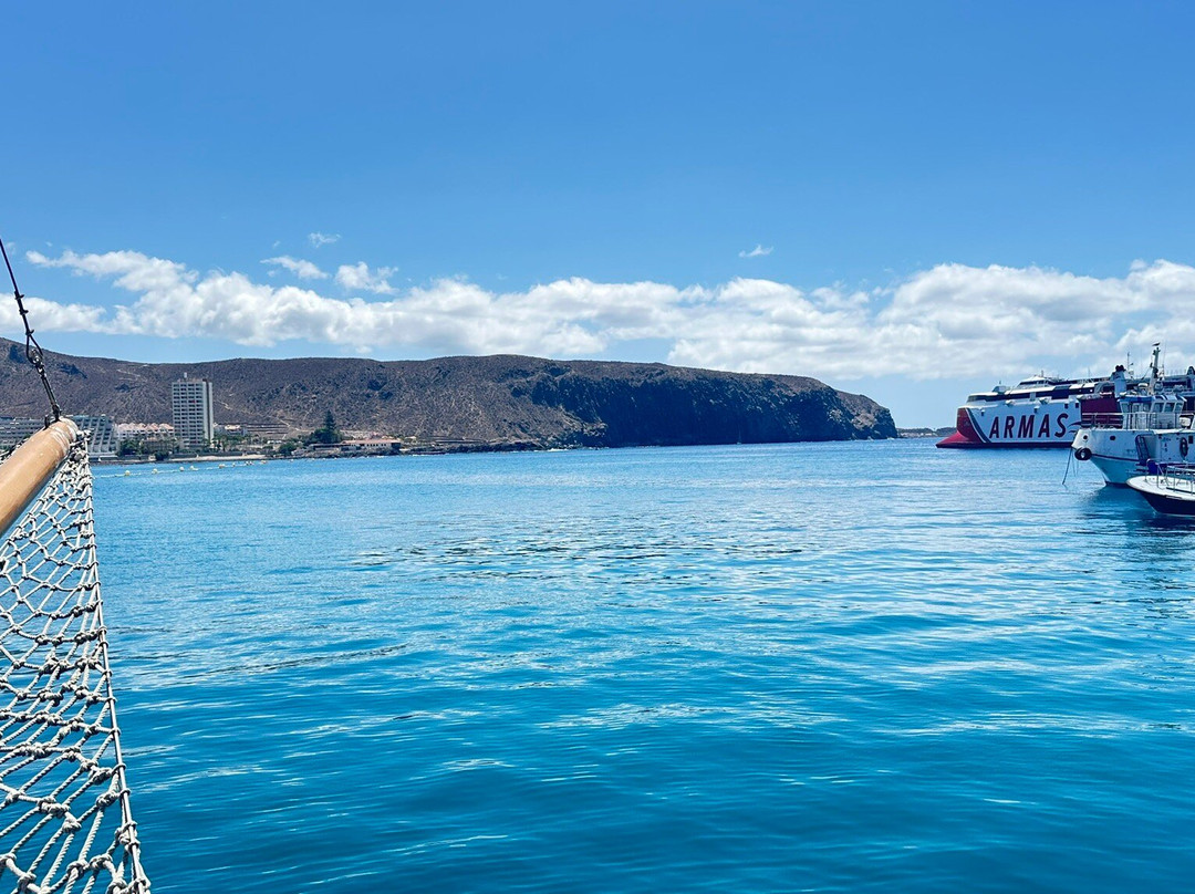 Neptuno Whale Experience Tenerife-特内里费岛必去景点
