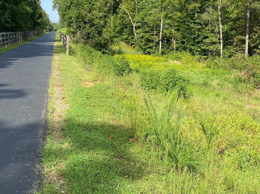 Indian Head Rail Trail-Indian Head必去景点