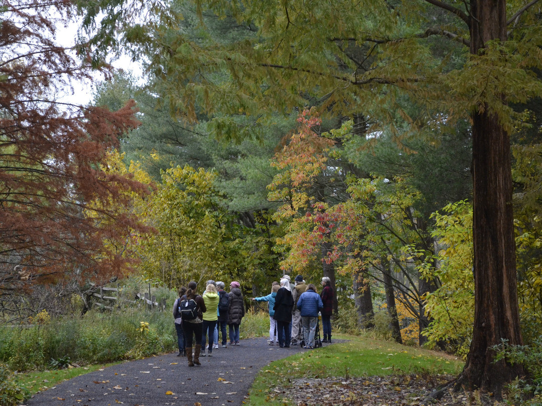 Jenkins Arboretum & Gardens-Devon必去景点