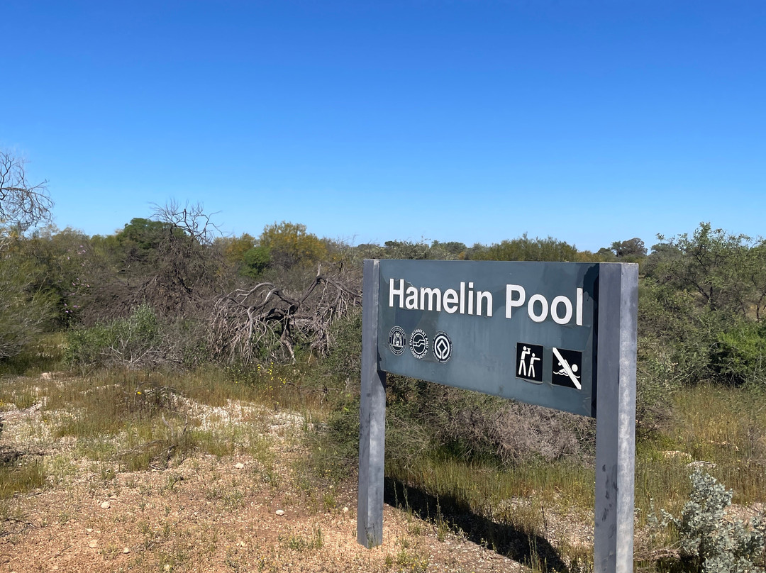 Hamelin Pool Telegraph Station-Hamelin Pool必去景点
