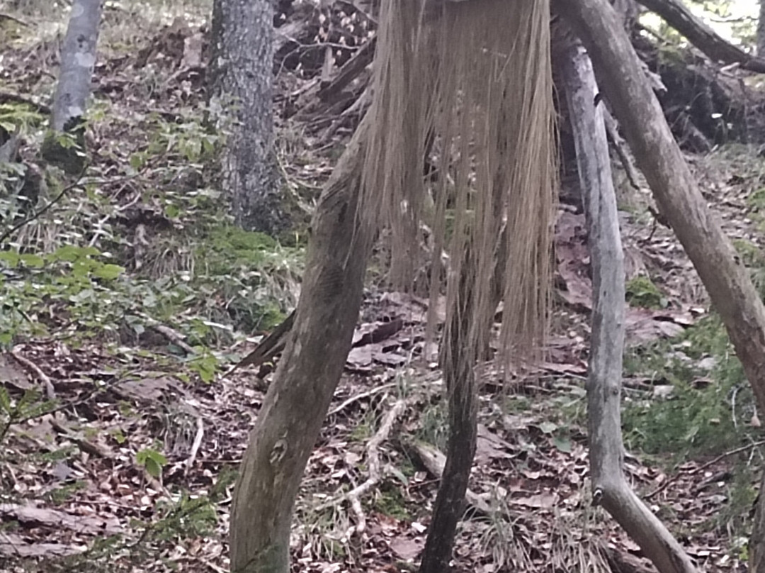 Sentiers Artistiques D'hautecour-Hautecour必去景点