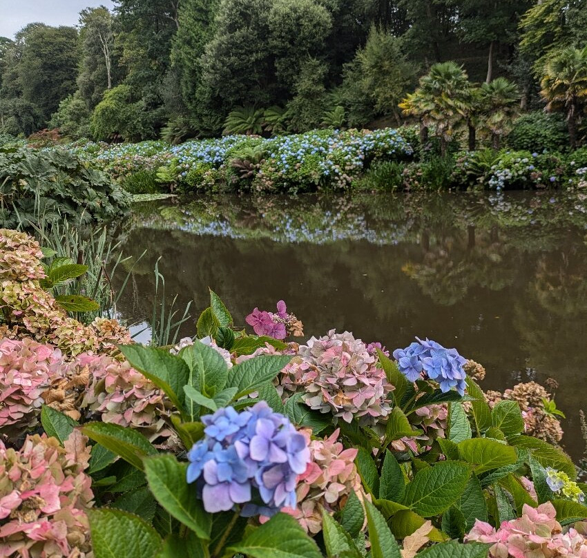 特雷巴花园景点图片