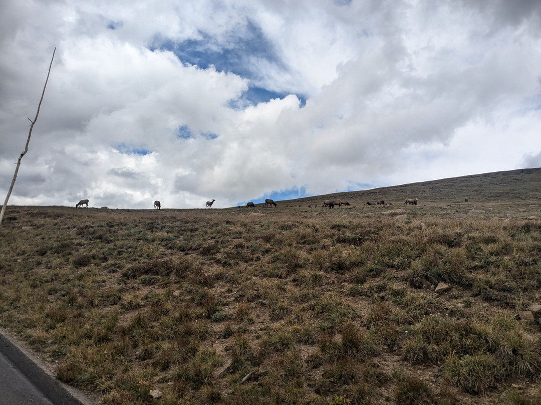 Rocky Mountain National Park-埃斯蒂斯公园必去景点