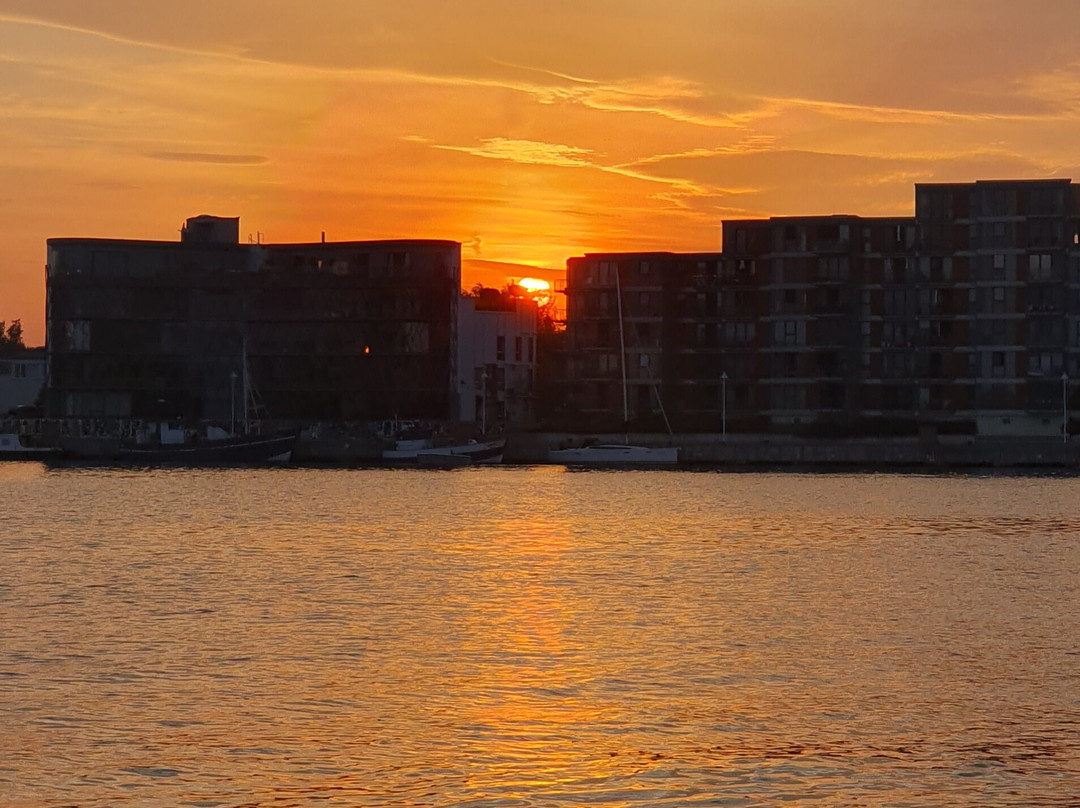 BoatNow Rostock Elektroboote景点图片