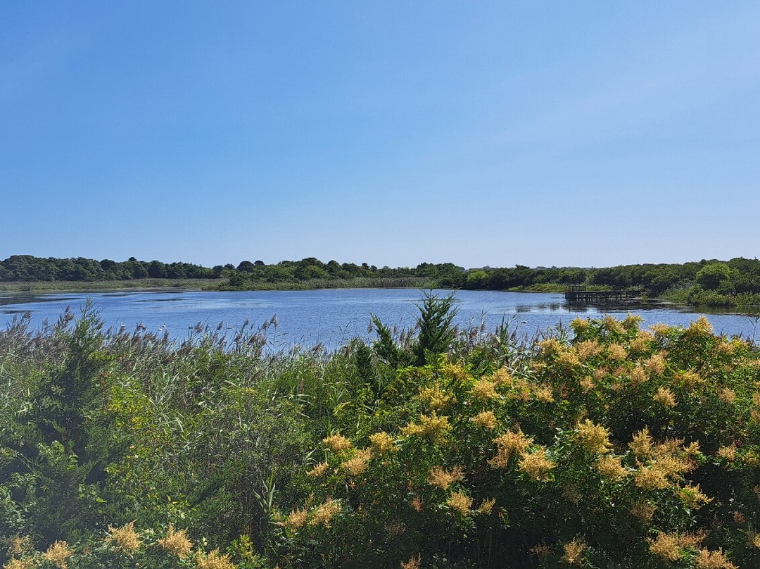 Cape May Point State Park景点图片