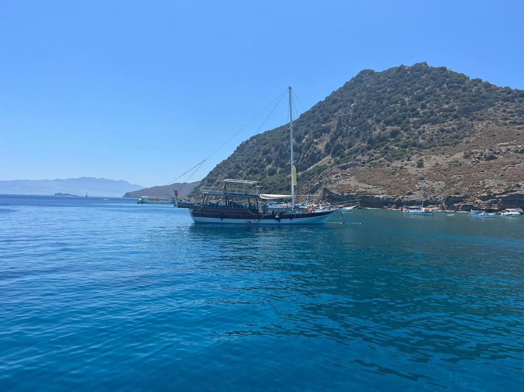 Outback Boat Trips景点图片