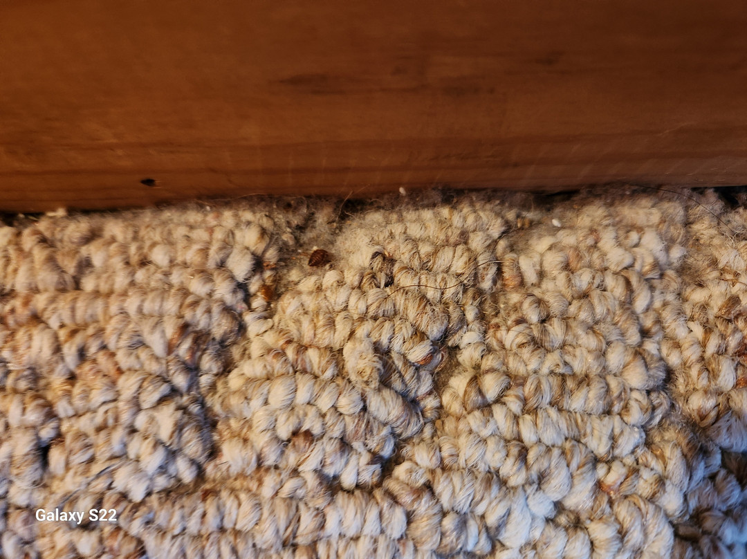 Thousand Hills Vacations主图