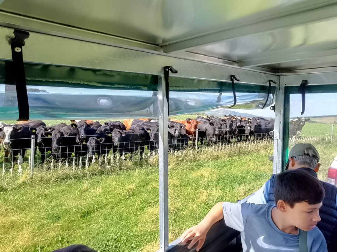 Bairnkine Farm Tours