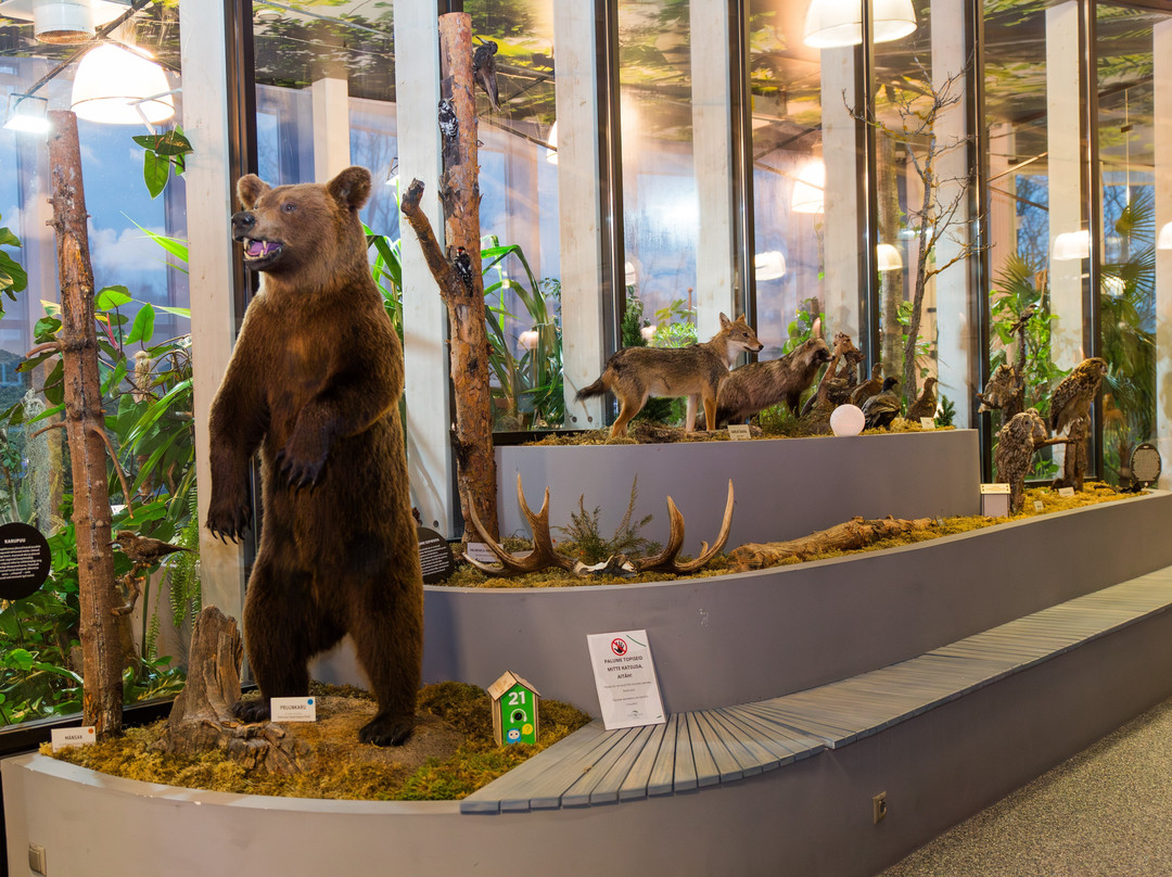 Pernova Nature House-派尔努必去景点