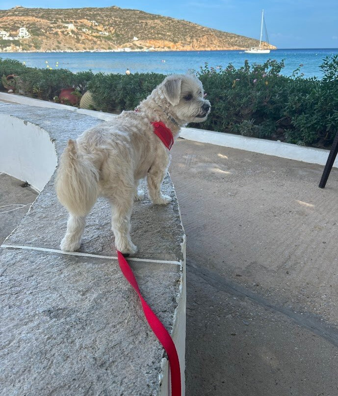 Pension Ageliki主图