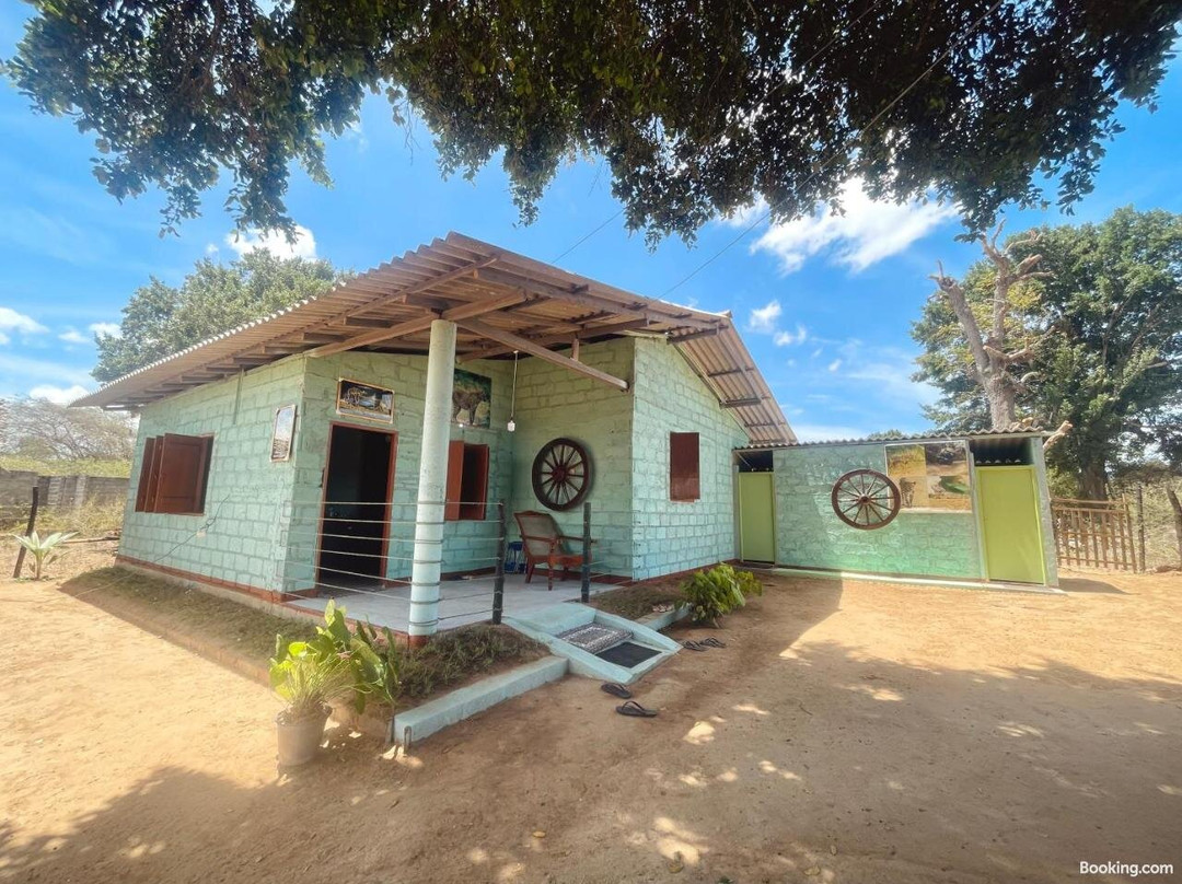 Jungle House & Camping Tents