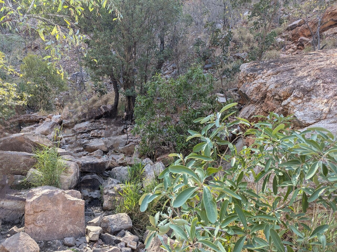 Adventure Wild Kimberley Tours景点图片