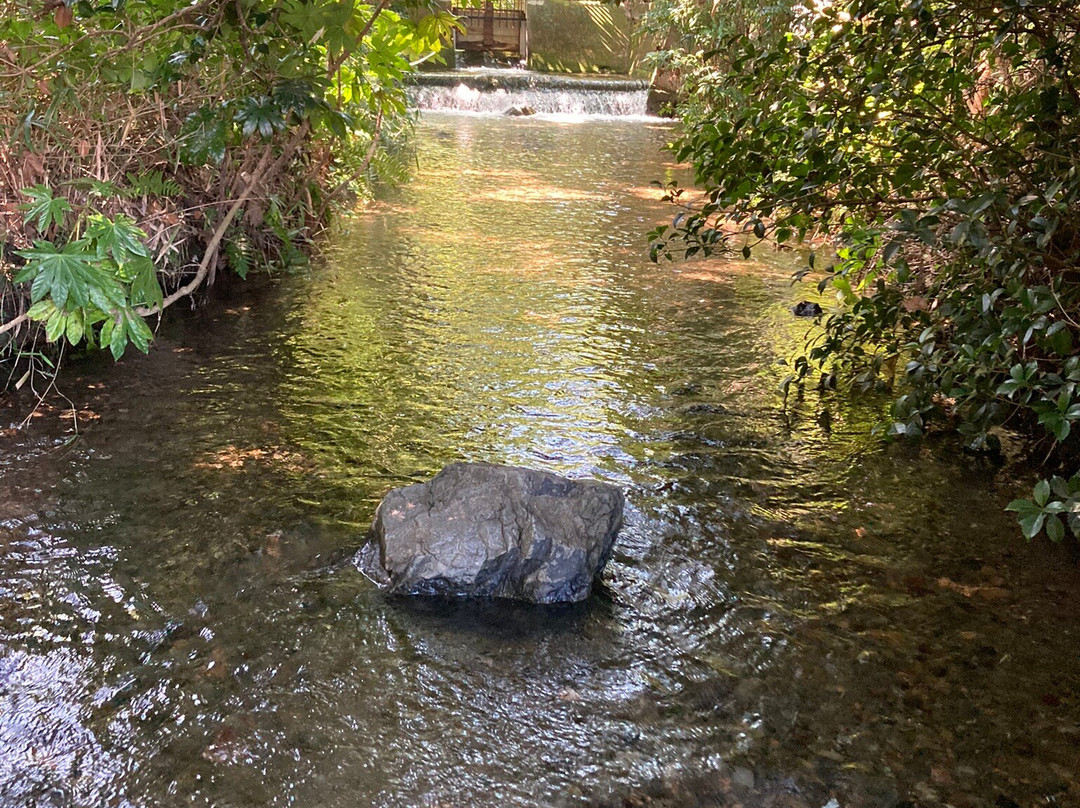 Ochiai River and Minamisawa Springs-东久留米市必去景点