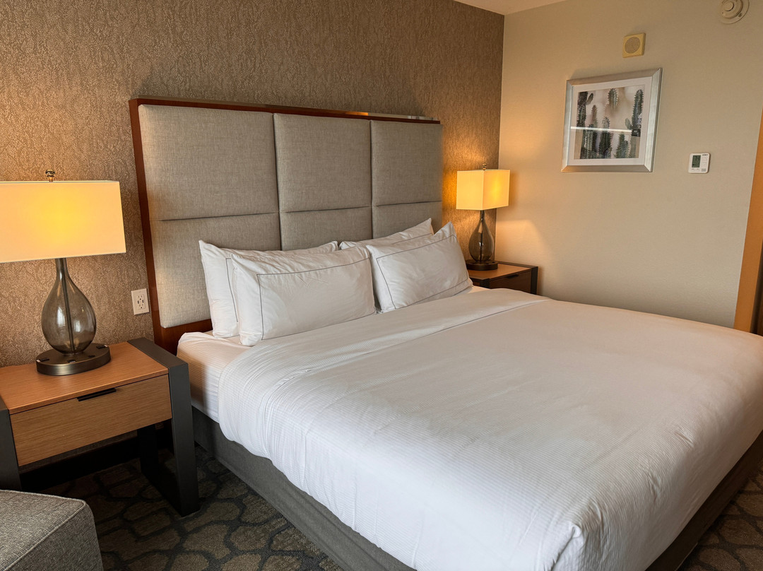 Hilton Garden Inn Arvada Denver, Co主图