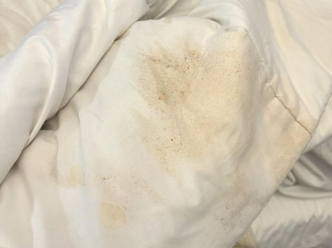 Charqueada Santa Rita Pousada de Charme主图