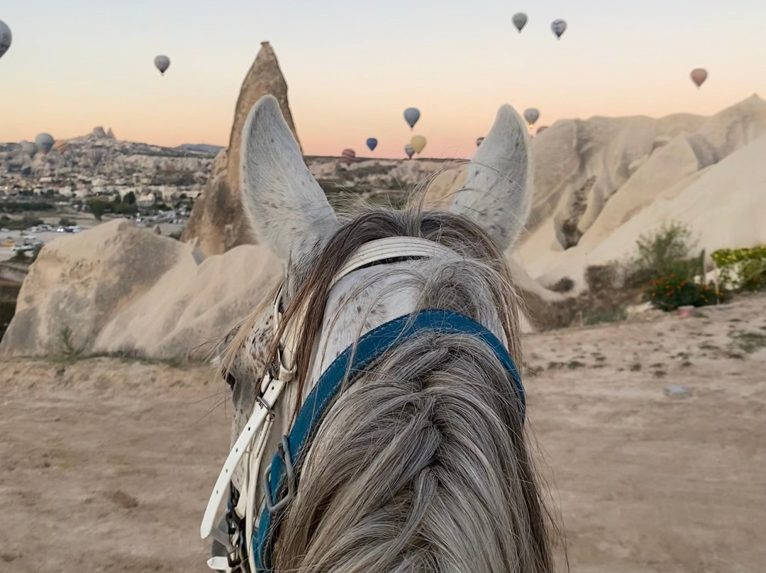 Ates Horse Ranch(景点图片