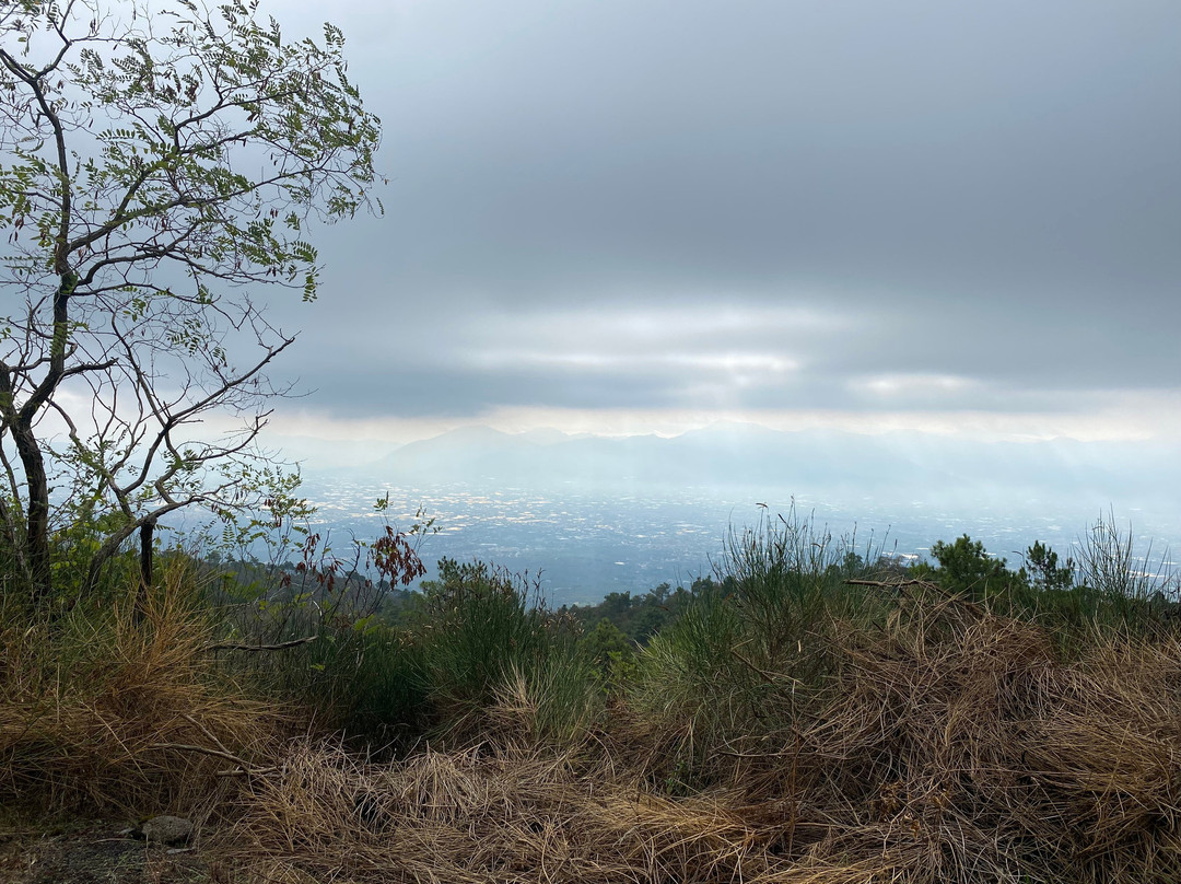 VESUVIO DRIVE-Boscotrecase必去景点