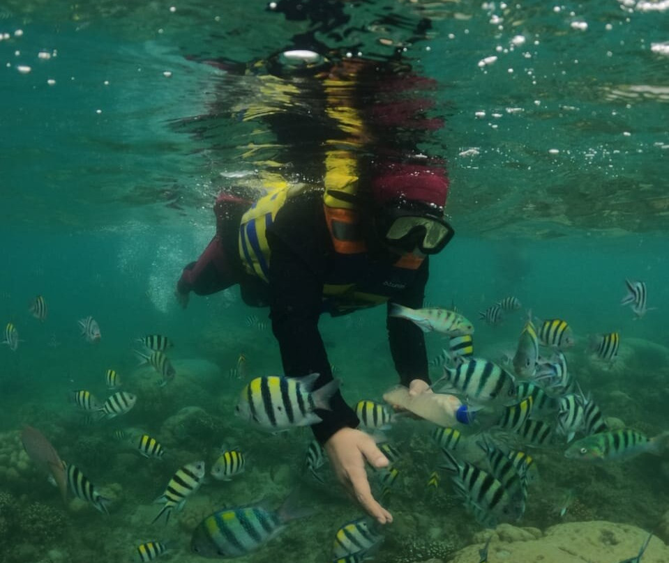 Lombok Wonderland Tour And Travel-马塔兰必去景点