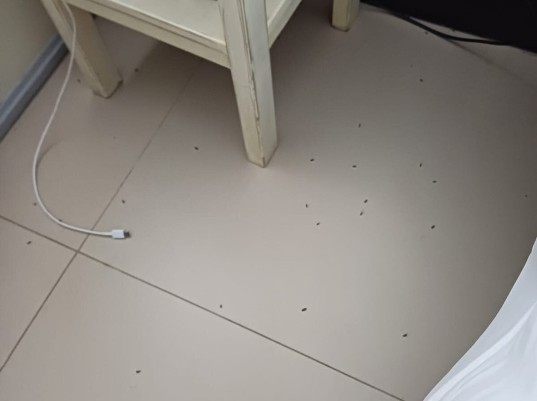 Le Stelline Villaggio Albergo主图